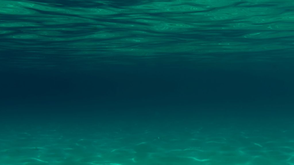 submarino Red de arrastre Profundidades del mar Ecosistema Marino y Fauna Subterránea