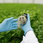 Tecnología minera al servicio de la agricultura