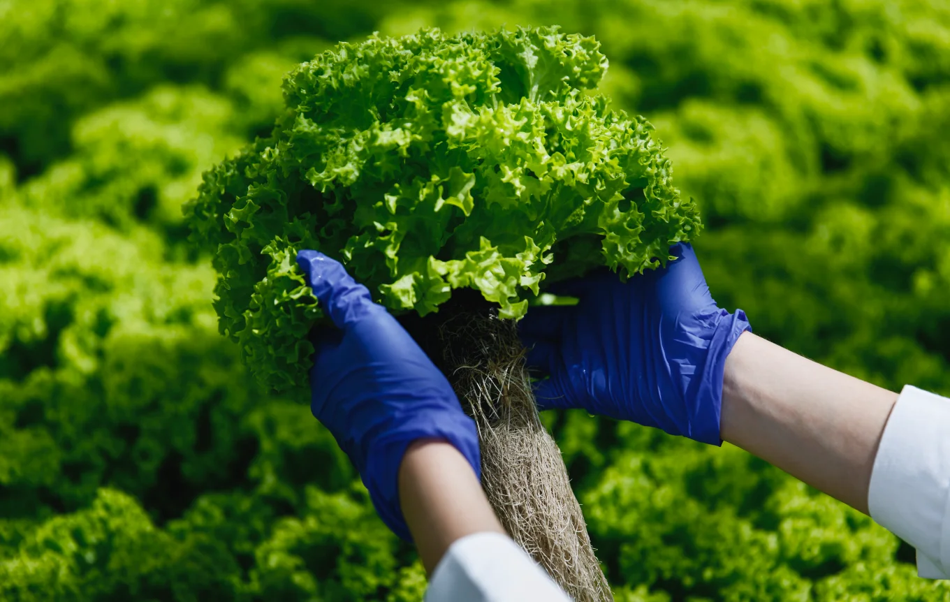 Monitoreo de recarga de acuíferos